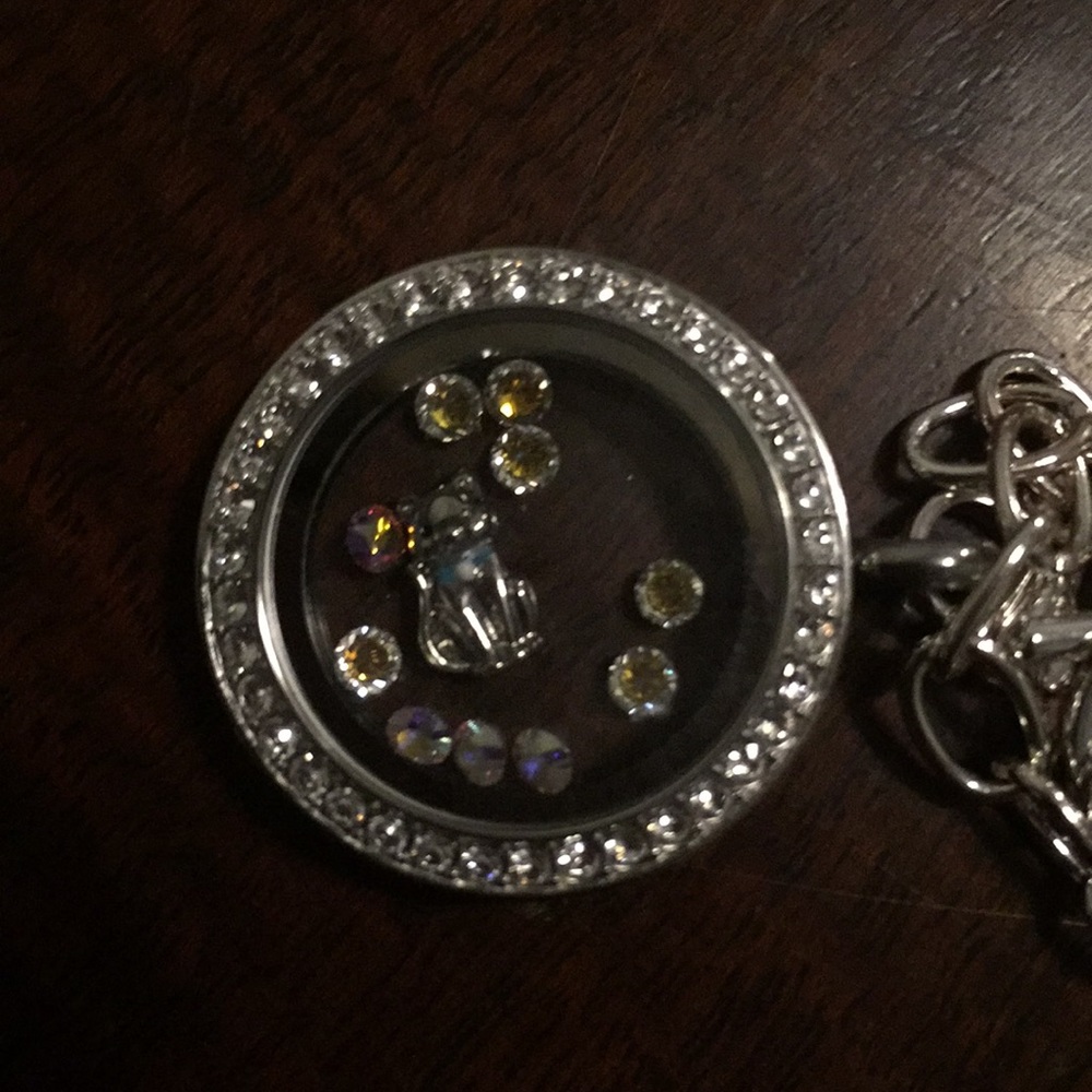 Origami Owl necklace